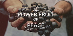 The Power Fruit of Peace